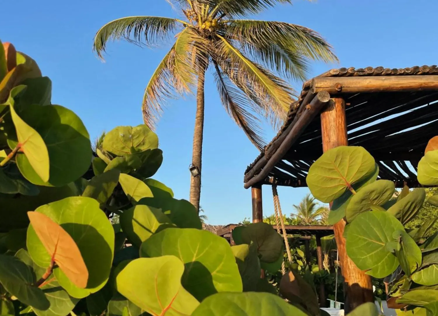 Namaste Beach Club & Hotel Playa de Punta Arena 3*,  Colombia