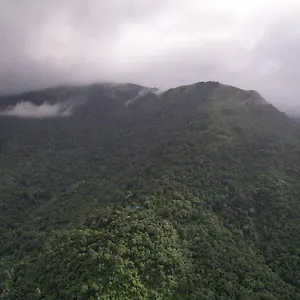 https://regina-silva-jungle-resort.kerala-hotels.net